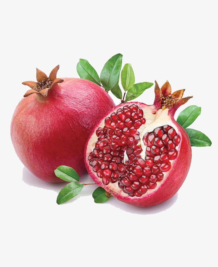 promagnet Fresh fruit 